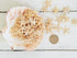 natural baby starfish for sale